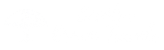 bestsocotratours.com