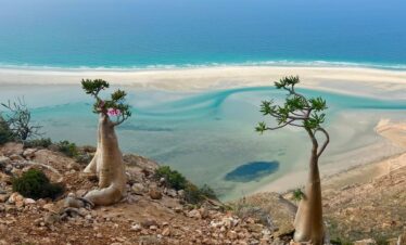 Socotra – 8 Days