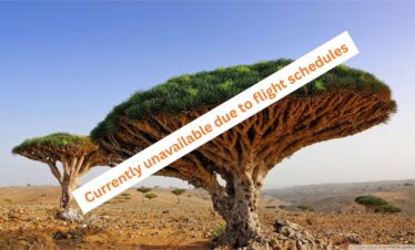 Socotra – 11 Days