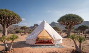 Socotra VIP – 8 Days